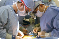 sch-drs-cohen-permut