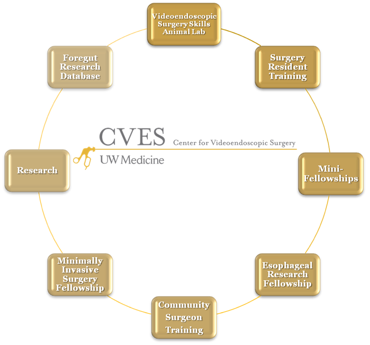 CVES_schematic_small