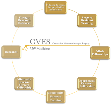 Center for Videoendoscopic Surgery specific areas of clinical and research interests