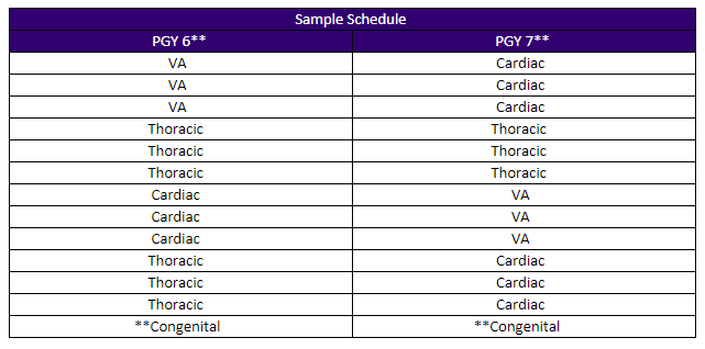 two-year ct fellowship sample schedule