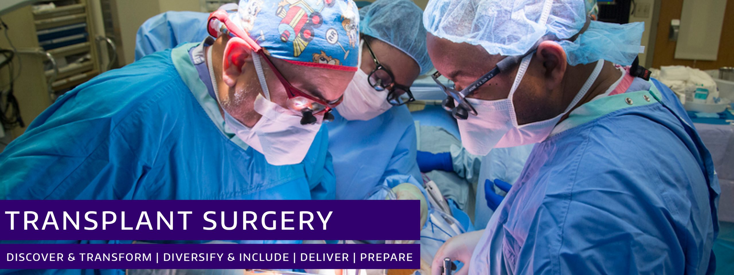 Department of Surgery Division of Transplant Surgery Header Image Department of Surgery Division of Transplant Surgery Header Image
