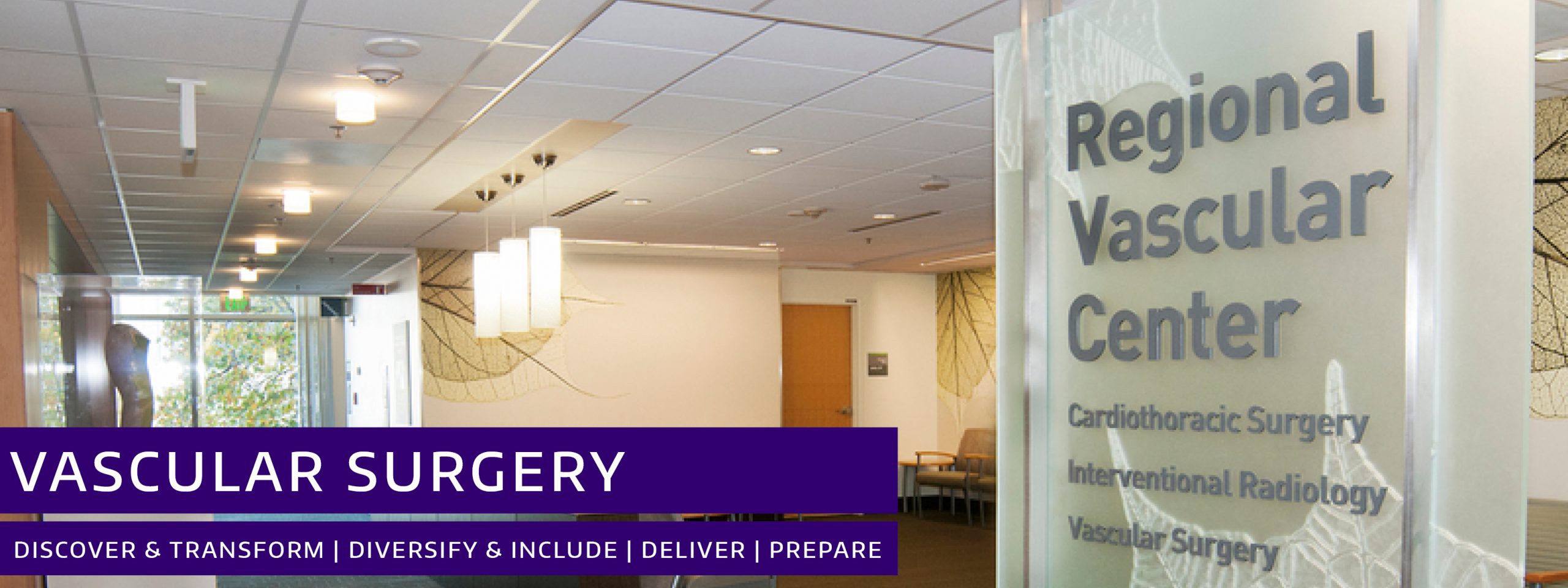 Department of Surgery Division of Vascular Surgery Header Image