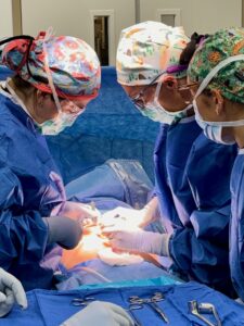 Surgical team members perform a procedure in an operating room using sterile instruments and protective surgical equipment.
